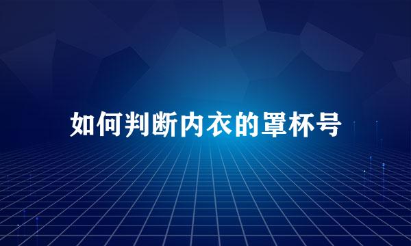 如何判断内衣的罩杯号