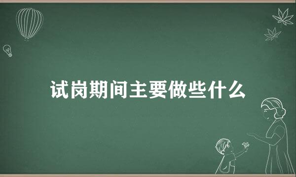 试岗期间主要做些什么