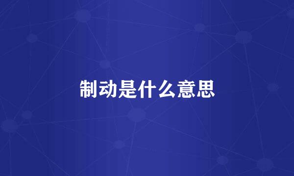 制动是什么意思
