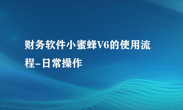 财务软件小蜜蜂V6的使用流程-日常操作