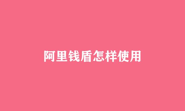 阿里钱盾怎样使用