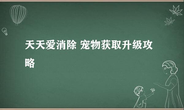 天天爱消除 宠物获取升级攻略