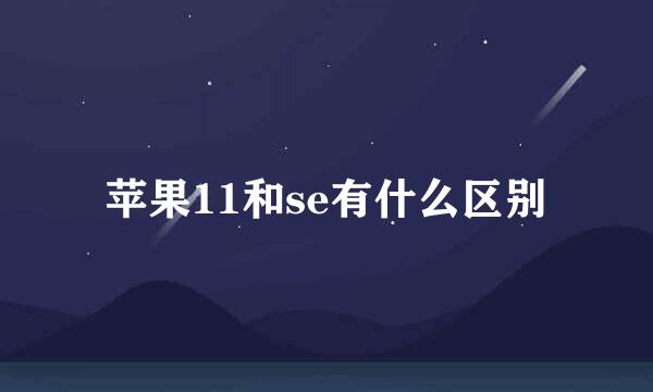 苹果11和se有什么区别