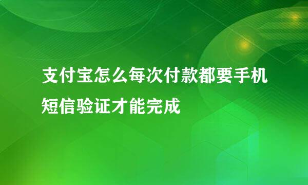 支付宝怎么每次付款都要手机短信验证才能完成