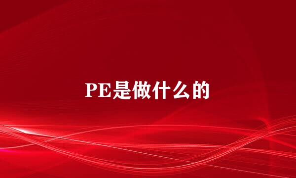 PE是做什么的