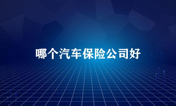 哪个汽车保险公司好