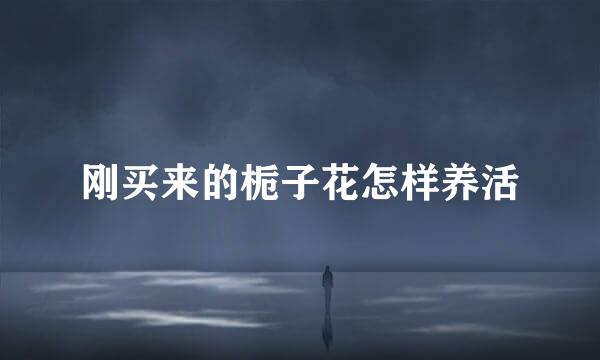 刚买来的栀子花怎样养活