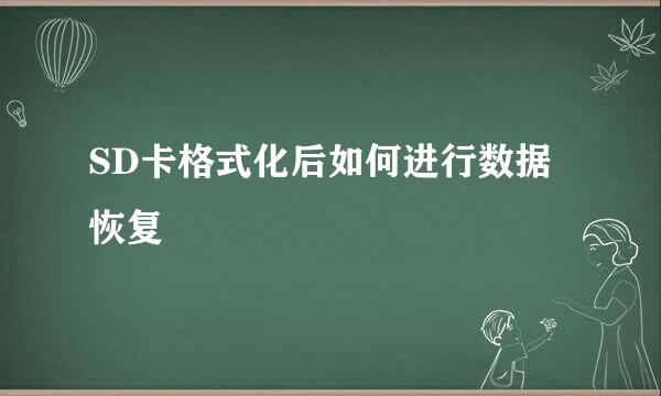 SD卡格式化后如何进行数据恢复