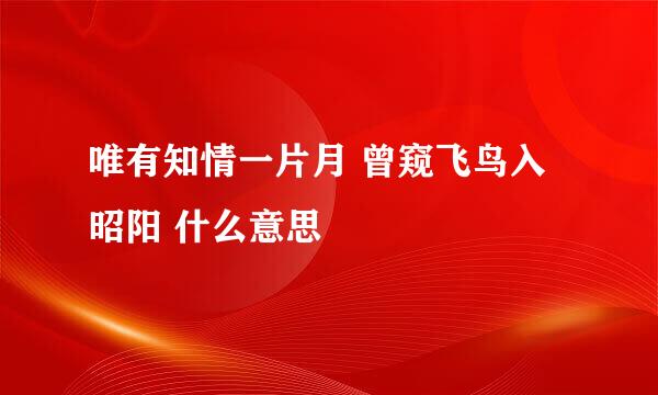 唯有知情一片月 曾窥飞鸟入昭阳 什么意思