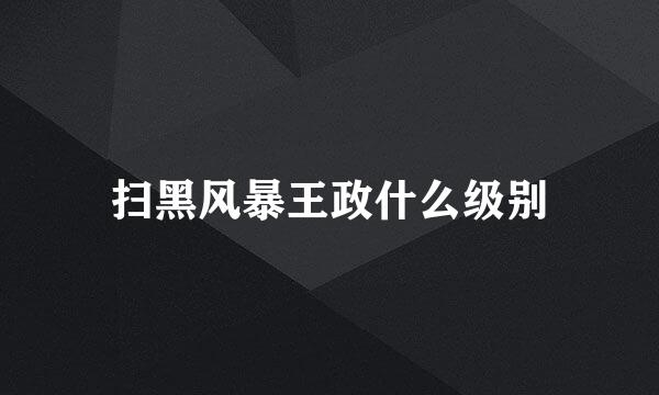 扫黑风暴王政什么级别