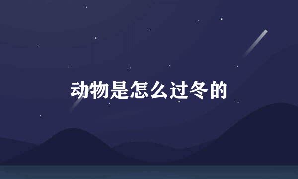 动物是怎么过冬的