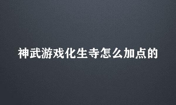 神武游戏化生寺怎么加点的