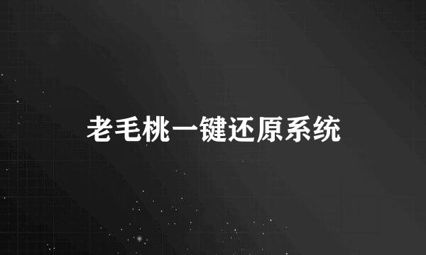 老毛桃一键还原系统
