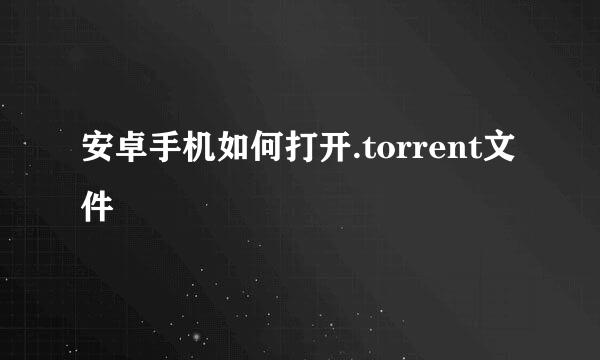 安卓手机如何打开.torrent文件