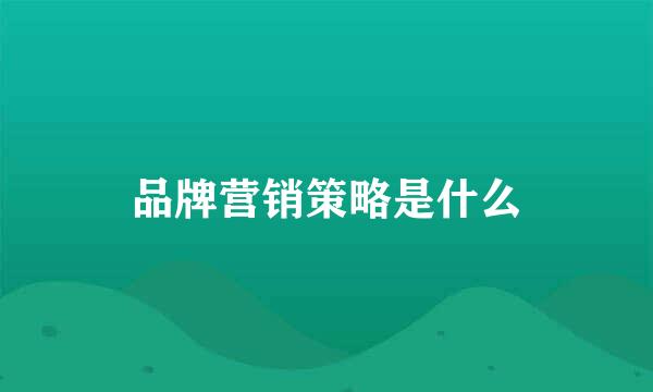 品牌营销策略是什么