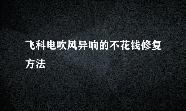 飞科电吹风异响的不花钱修复方法