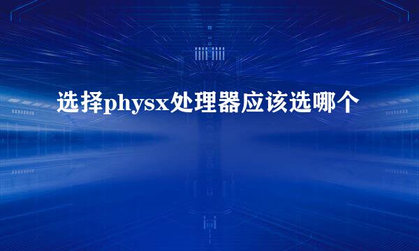 选择physx处理器应该选哪个