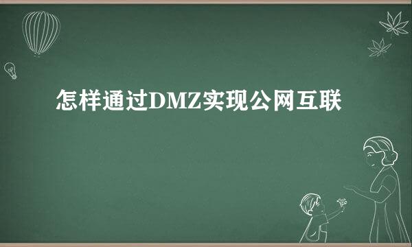 怎样通过DMZ实现公网互联