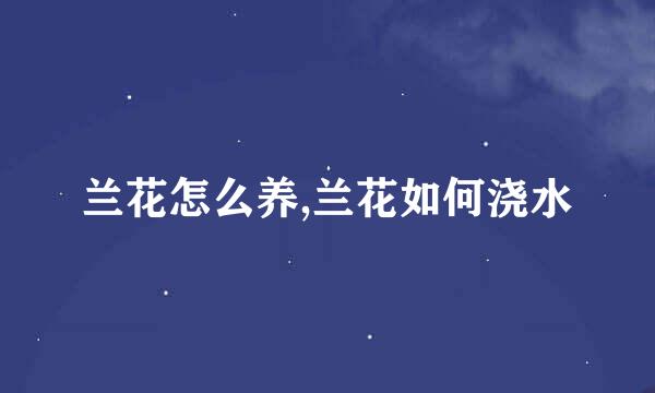 兰花怎么养,兰花如何浇水
