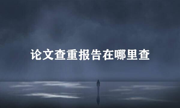 论文查重报告在哪里查