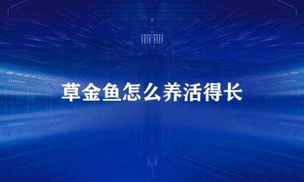 草金鱼怎么养活得长