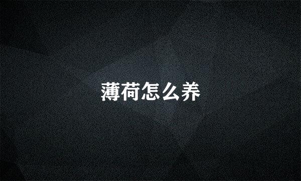 薄荷怎么养
