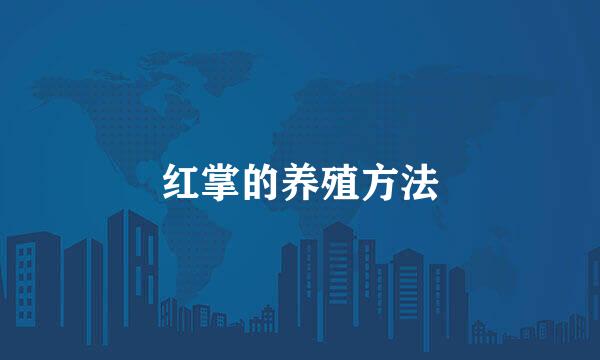 红掌的养殖方法