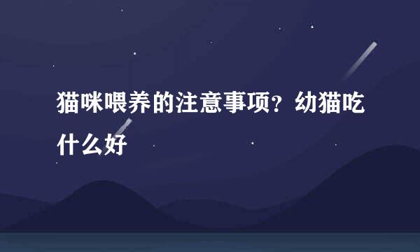 猫咪喂养的注意事项？幼猫吃什么好