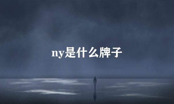 ny是什么牌子