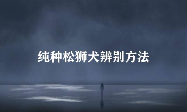 纯种松狮犬辨别方法