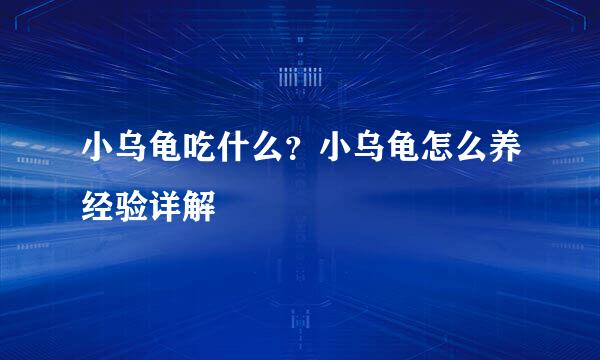 小乌龟吃什么？小乌龟怎么养经验详解