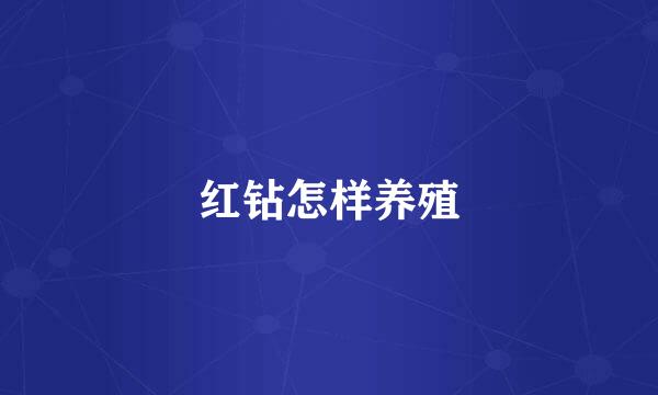 红钻怎样养殖