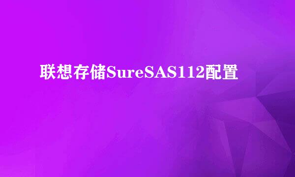 联想存储SureSAS112配置