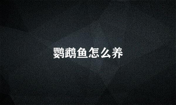 鹦鹉鱼怎么养