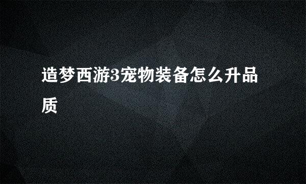 造梦西游3宠物装备怎么升品质