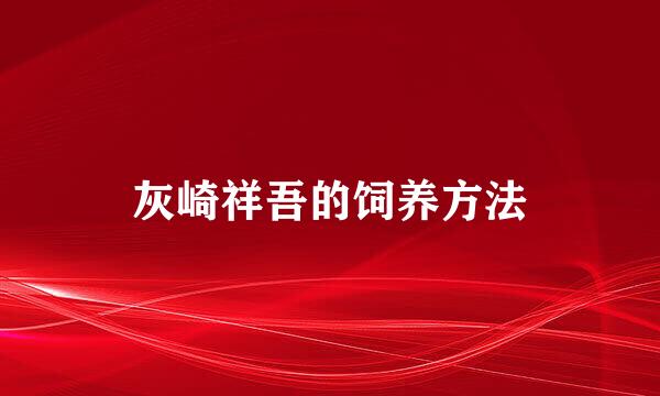 灰崎祥吾的饲养方法