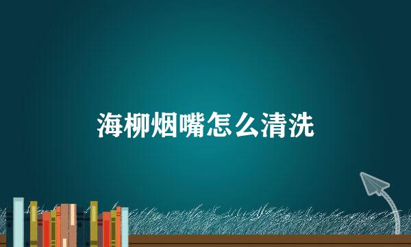 海柳烟嘴怎么清洗