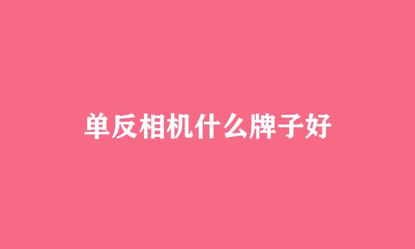 单反相机什么牌子好