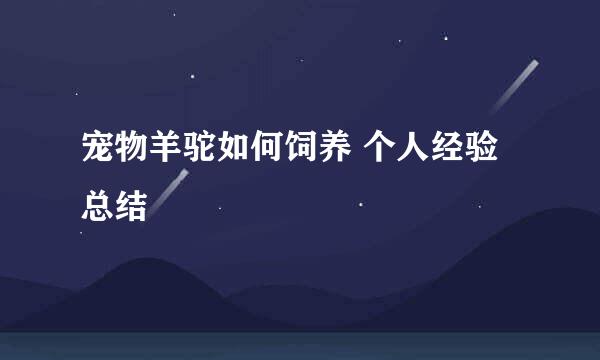 宠物羊驼如何饲养 个人经验总结
