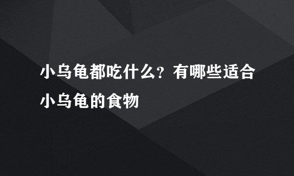 小乌龟都吃什么？有哪些适合小乌龟的食物