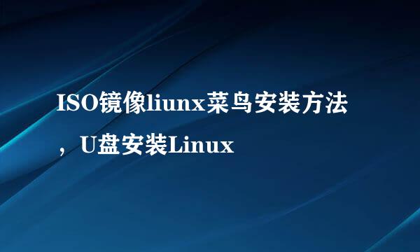 ISO镜像liunx菜鸟安装方法，U盘安装Linux