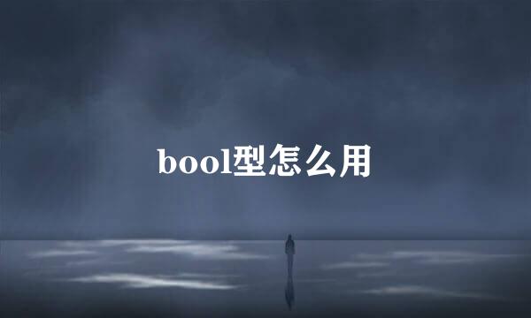 bool型怎么用