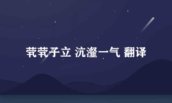 茕茕子立 沆瀣一气 翻译