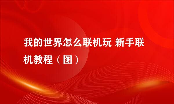 我的世界怎么联机玩 新手联机教程（图）