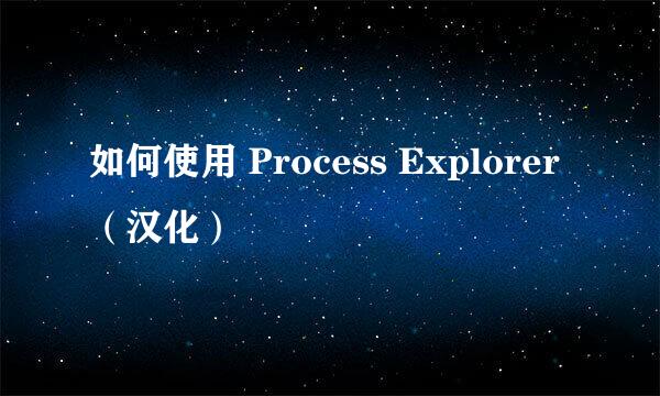 如何使用 Process Explorer（汉化）