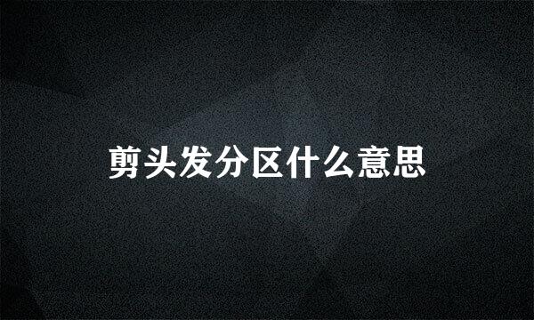 剪头发分区什么意思