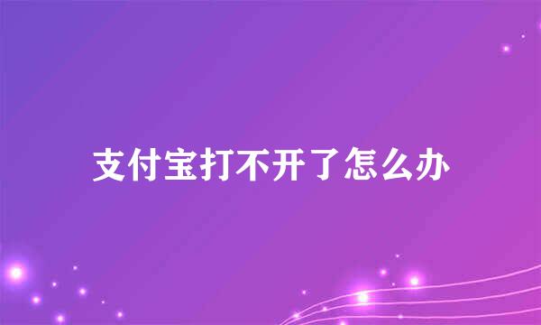 支付宝打不开了怎么办