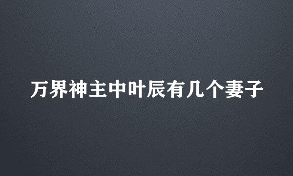 万界神主中叶辰有几个妻子