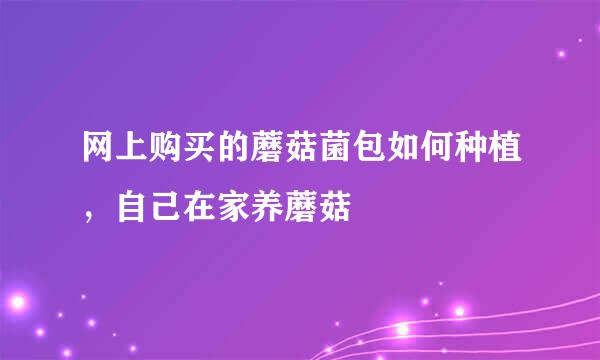 网上购买的蘑菇菌包如何种植，自己在家养蘑菇