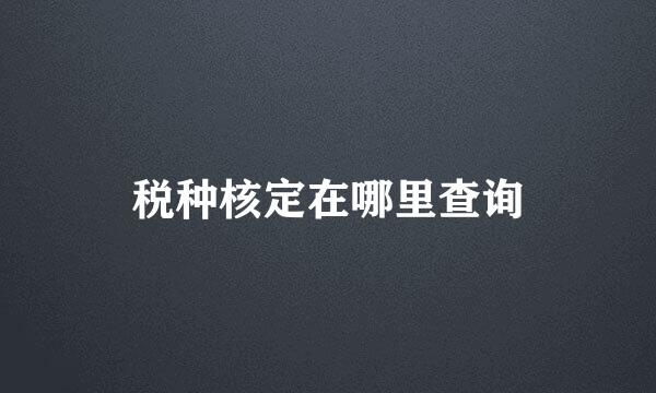 税种核定在哪里查询